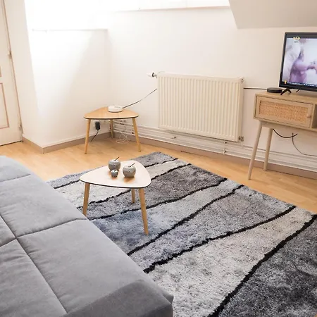 Apartamento Lumineux Proche Centre 4 Pers